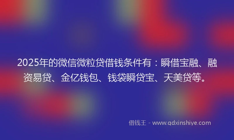 2025年的微信微粒贷借钱条件有：瞬借宝融、融资易贷、金亿钱包、钱袋瞬贷宝、天美贷等。
