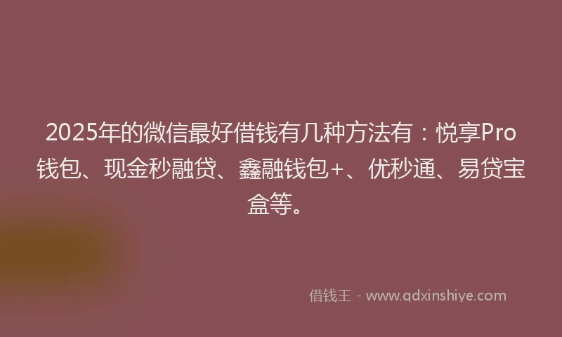 2025年的微信最好借钱有几种方法有：悦享Pro钱包、现金秒融贷、鑫融钱包+、优秒通、易贷宝盒等。