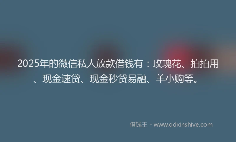 2025年的微信私人放款借钱有：玫瑰花、拍拍用、现金速贷、现金秒贷易融、羊小购等。