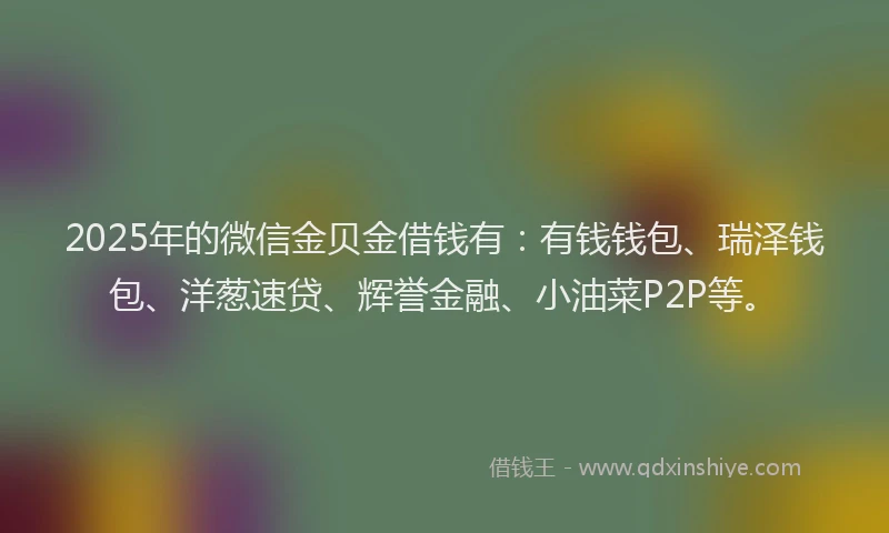 2025年的微信金贝金借钱有:有钱钱包、瑞泽钱包、洋葱速贷、辉誉金融、小油菜P2P等。