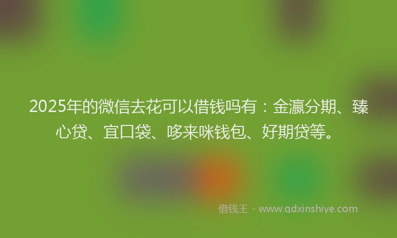 2025年的微信去花可以借钱吗有：金瀛分期、臻心贷、宜口袋、哆来咪钱包、好期贷等。