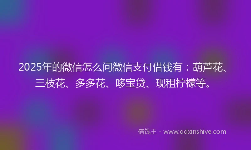 2025年的微信怎么问微信支付借钱有：葫芦花、三枝花、多多花、哆宝贷、现租柠檬等。