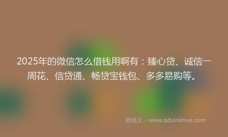 2025年的微信怎么借钱用啊有：臻心贷、诚信一周花、信贷通、畅贷宝钱包、多多易购等。