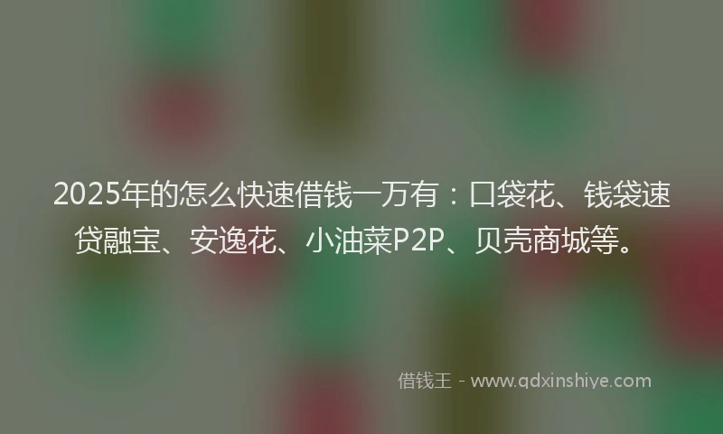 2025年的怎么快速借钱一万有:口袋花、钱袋速贷融宝、安逸花、小油菜P2P、贝壳商城等。