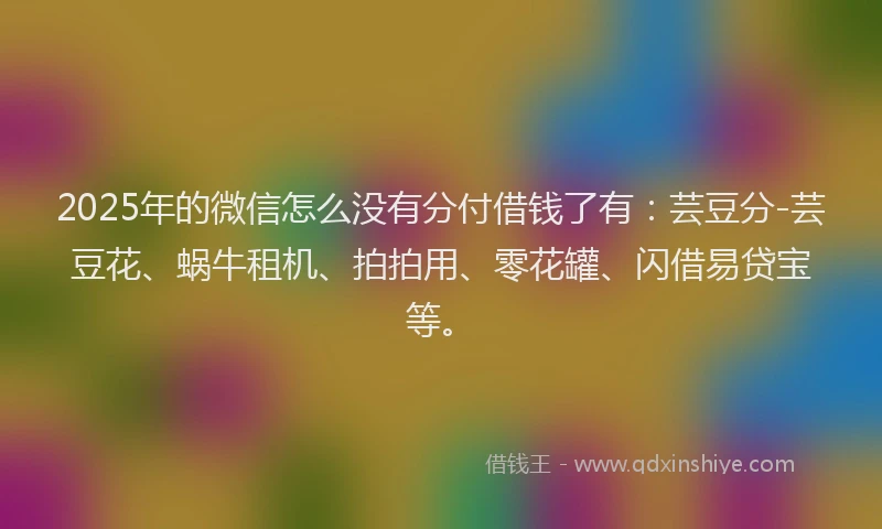 2025年的微信怎么没有分付借钱了有：芸豆分-芸豆花、蜗牛租机、拍拍用、零花罐、闪借易贷宝等。