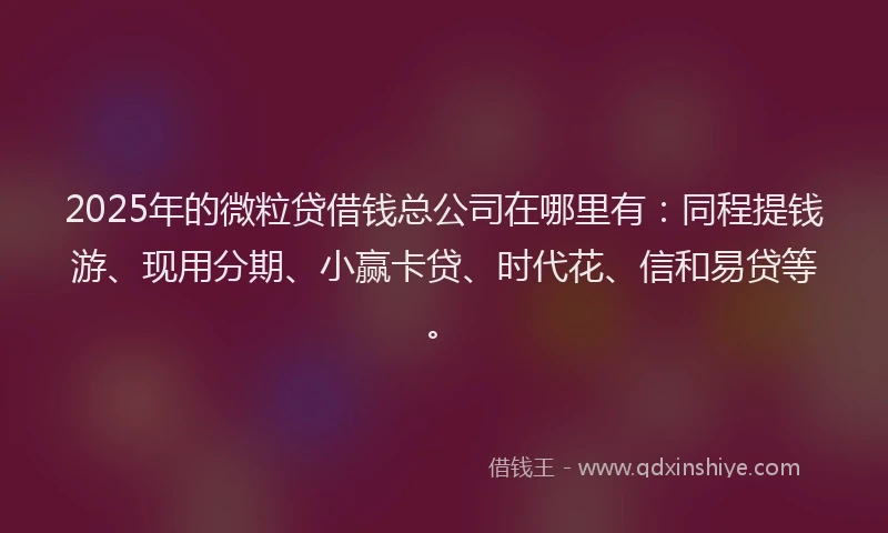 2025年的微粒贷借钱总公司在哪里有：同程提钱游、现用分期、小赢卡贷、时代花、信和易贷等。