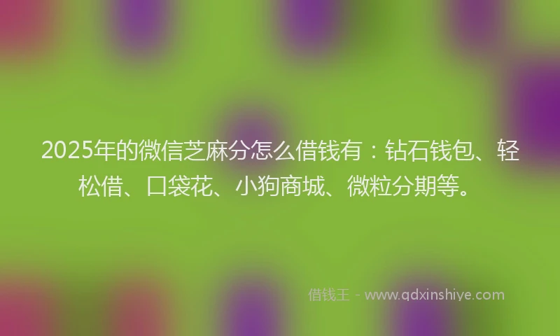 2025年的微信芝麻分怎么借钱有:钻石钱包、轻松借、口袋花、小狗商城、微粒分期等。