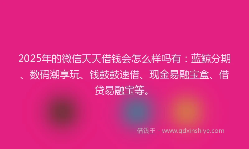 2025年的微信天天借钱会怎么样吗有：蓝鲸分期、数码潮享玩、钱鼓鼓速借、现金易融宝盒、借贷易融宝等。