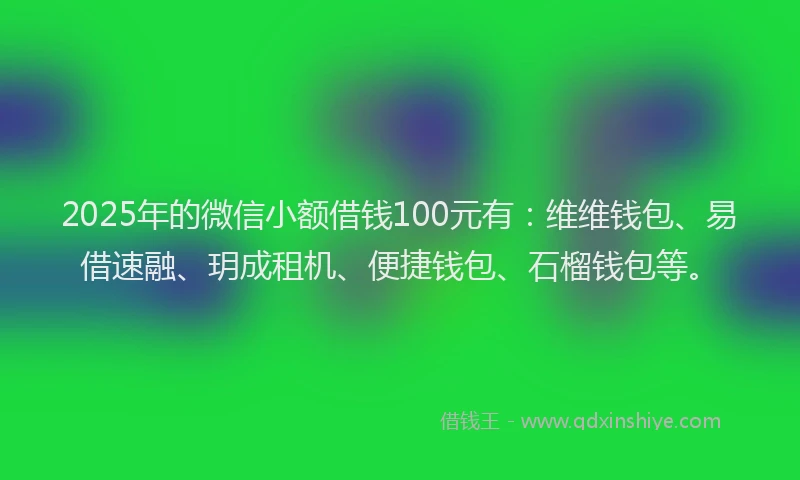 2025年的微信小额借钱100元有：维维钱包、易借速融、玥成租机、便捷钱包、石榴钱包等。