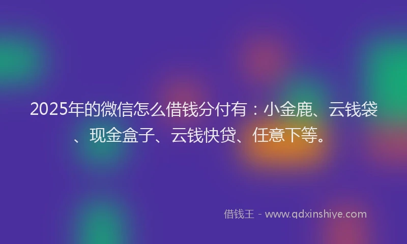 2025年的微信怎么借钱分付有：小金鹿、云钱袋、现金盒子、云钱快贷、任意下等。