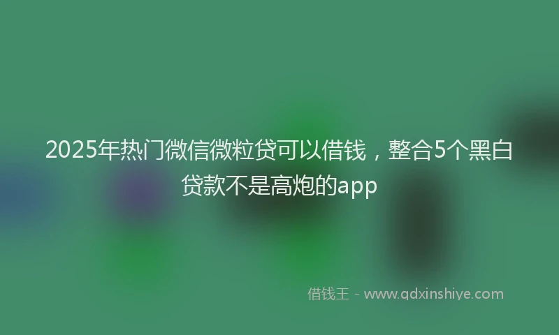 2025年热门微信微粒贷可以借钱，整合5个黑白贷款不是高炮的app