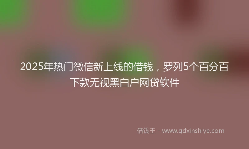 2025年热门微信新上线的借钱，罗列5个百分百下款无视黑白户网贷软件