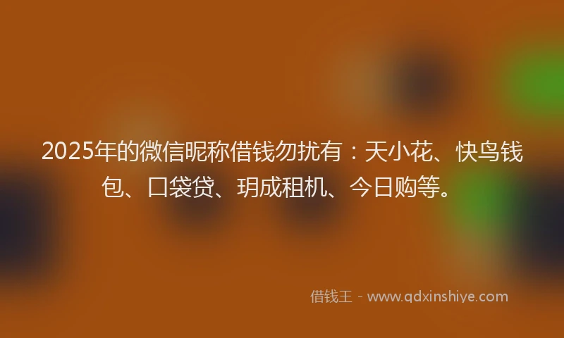 2025年的微信昵称借钱勿扰有:天小花、快鸟钱包、口袋贷、玥成租机、今日购等。