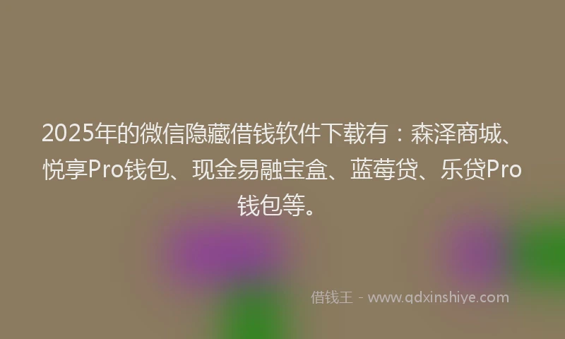 2025年的微信隐藏借钱软件下载有：森泽商城、悦享Pro钱包、现金易融宝盒、蓝莓贷、乐贷Pro钱包等。