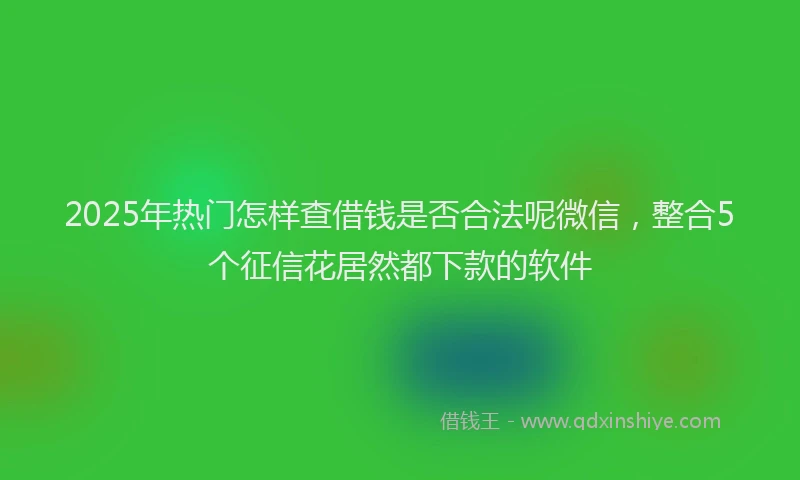 2025年热门怎样查借钱是否合法呢微信，整合5个征信花居然都下款的软件