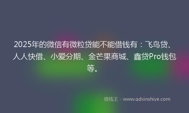2025年的微信有微粒贷能不能借钱有：飞鸟贷、人人快借、小爱分期、金芒果商城、鑫贷Pro钱包等。