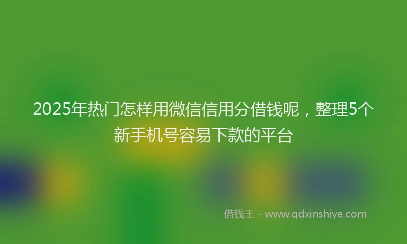 2025年热门怎样用微信信用分借钱呢，整理5个新手机号容易下款的平台
