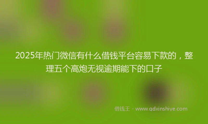2025年热门微信有什么借钱平台容易下款的，整理五个高炮无视逾期能下的口子