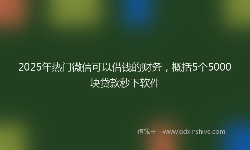 2025年热门微信可以借钱的财务，概括5个5000块贷款秒下软件