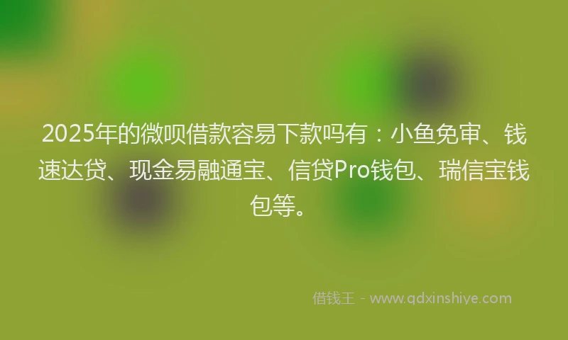 2025年的微呗借款容易下款吗有：小鱼免审、钱速达贷、现金易融通宝、信贷Pro钱包、瑞信宝钱包等。