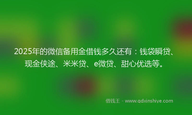 2025年的微信备用金借钱多久还有：钱袋瞬贷、现金侠途、米米贷、e微贷、甜心优选等。