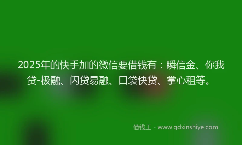2025年的快手加的微信要借钱有：瞬信金、你我贷-极融、闪贷易融、口袋快贷、掌心租等。