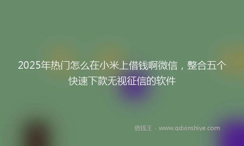2025年热门怎么在小米上借钱啊微信，整合五个快速下款无视征信的软件