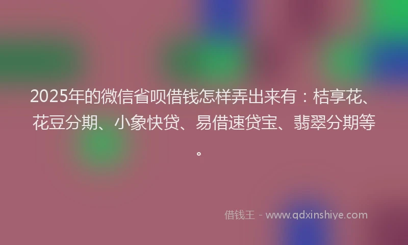 2025年的微信省呗借钱怎样弄出来有：桔享花、花豆分期、小象快贷、易借速贷宝、翡翠分期等。