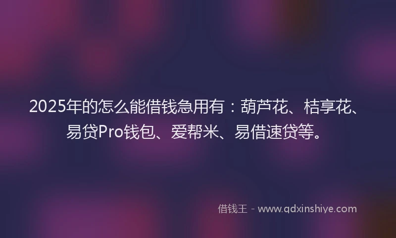 2025年的怎么能借钱急用有：葫芦花、桔享花、易贷Pro钱包、爱帮米、易借速贷等。