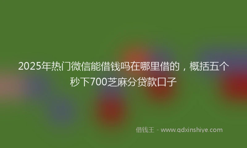2025年热门微信能借钱吗在哪里借的，概括五个秒下700芝麻分贷款口子