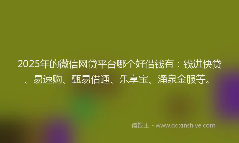 2025年的微信网贷平台哪个好借钱有：钱进快贷、易速购、甄易借通、乐享宝、涌泉金服等。