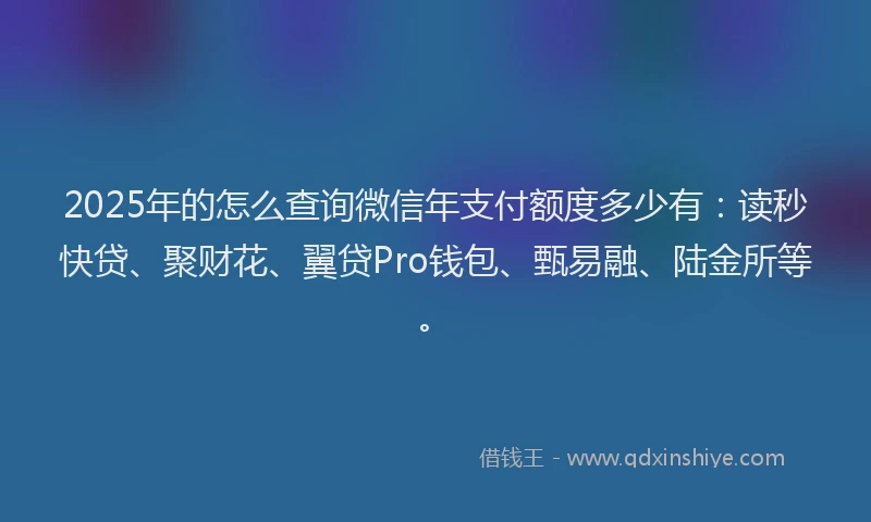 2025年的怎么查询微信年支付额度多少有：读秒快贷、聚财花、翼贷Pro钱包、甄易融、陆金所等。