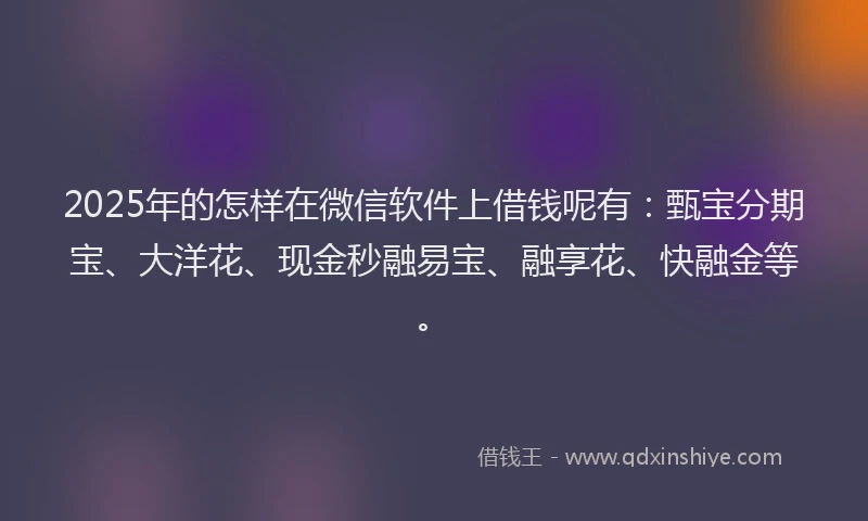 2025年的怎样在微信软件上借钱呢有：甄宝分期宝、大洋花、现金秒融易宝、融享花、快融金等。