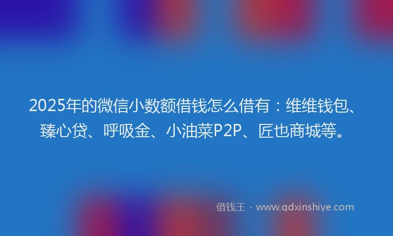 2025年的微信小数额借钱怎么借有：维维钱包、臻心贷、呼吸金、小油菜P2P、匠也商城等。