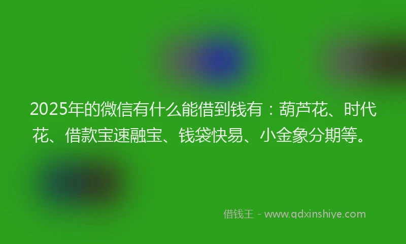 2025年的微信有什么能借到钱有：葫芦花、时代花、借款宝速融宝、钱袋快易、小金象分期等。