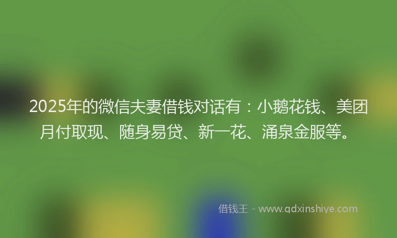 2025年的微信夫妻借钱对话有：小鹅花钱、美团月付取现、随身易贷、新一花、涌泉金服等。