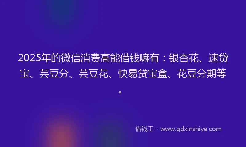 2025年的微信消费高能借钱嘛有：银杏花、速贷宝、芸豆分、芸豆花、快易贷宝盒、花豆分期等。