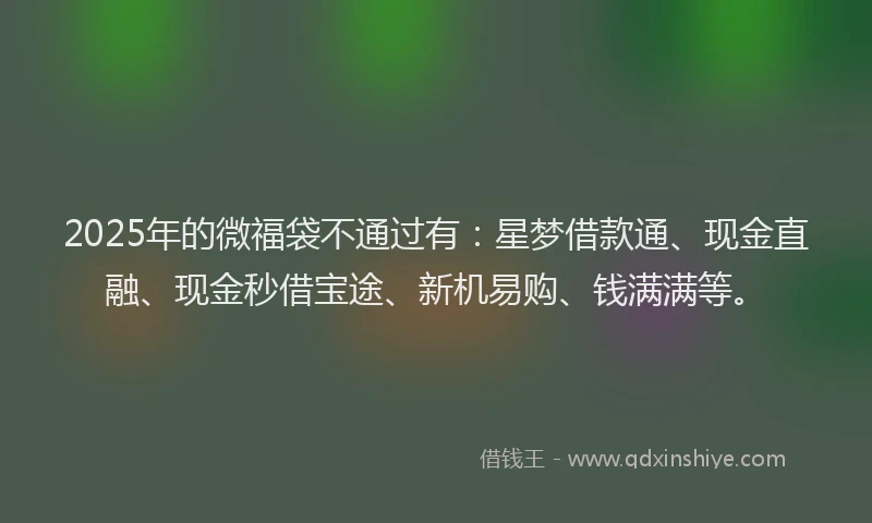 2025年的微福袋不通过有：星梦借款通、现金直融、现金秒借宝途、新机易购、钱满满等。