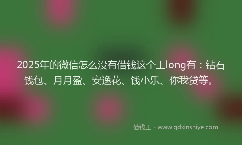 2025年的微信怎么没有借钱这个工long有：钻石钱包、月月盈、安逸花、钱小乐、你我贷等。