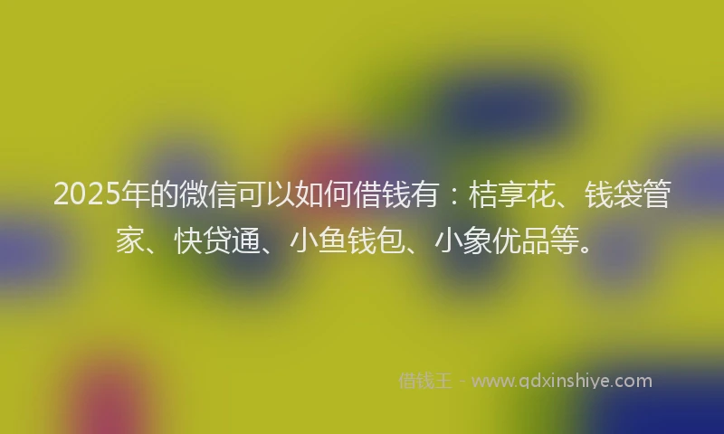 2025年的微信可以如何借钱有：桔享花、钱袋管家、快贷通、小鱼钱包、小象优品等。