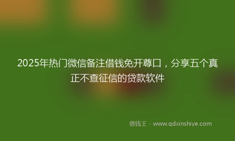 2025年热门微信备注借钱免开尊口，分享五个真正不查征信的贷款软件