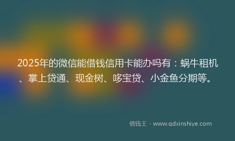 2025年的微信能借钱信用卡能办吗有：蜗牛租机、掌上贷通、现金树、哆宝贷、小金鱼分期等。