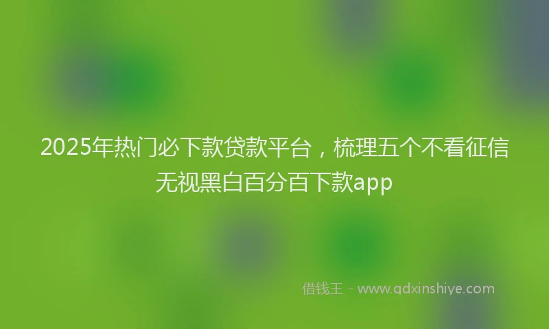 2025年热门必下款贷款平台，梳理五个不看征信无视黑白百分百下款app