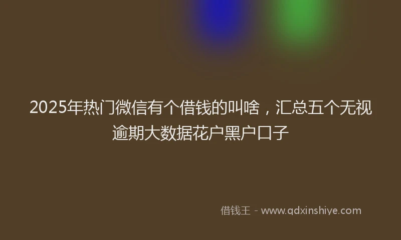 2025年热门微信有个借钱的叫啥，汇总五个无视逾期大数据花户黑户口子