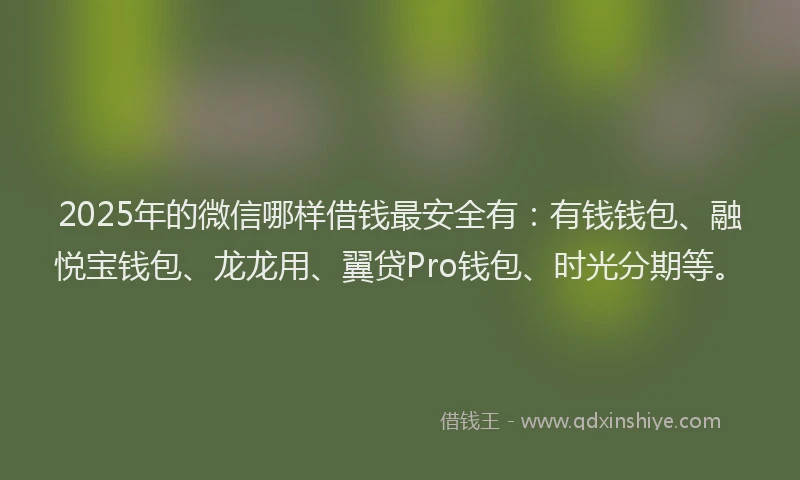 2025年的微信哪样借钱最安全有：有钱钱包、融悦宝钱包、龙龙用、翼贷Pro钱包、时光分期等。