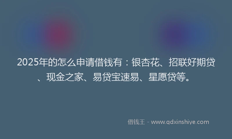 2025年的怎么申请借钱有：银杏花、招联好期贷、现金之家、易贷宝速易、星愿贷等。