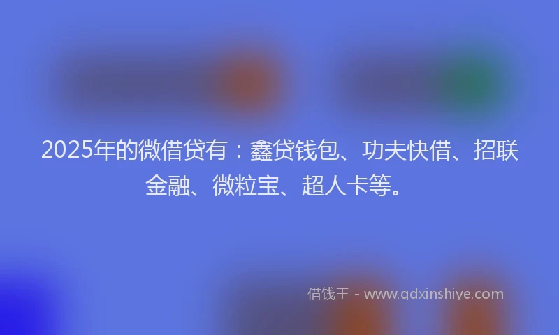 2025年的微借贷有：鑫贷钱包、功夫快借、招联金融、微粒宝、超人卡等。