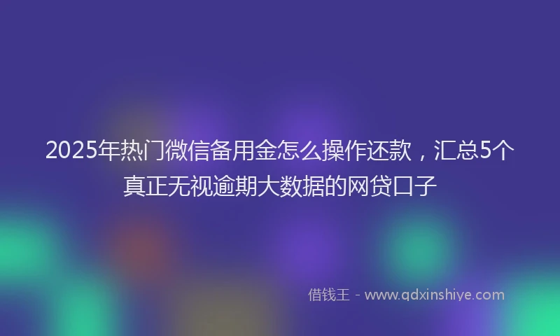 2025年热门微信备用金怎么操作还款，汇总5个真正无视逾期大数据的网贷口子