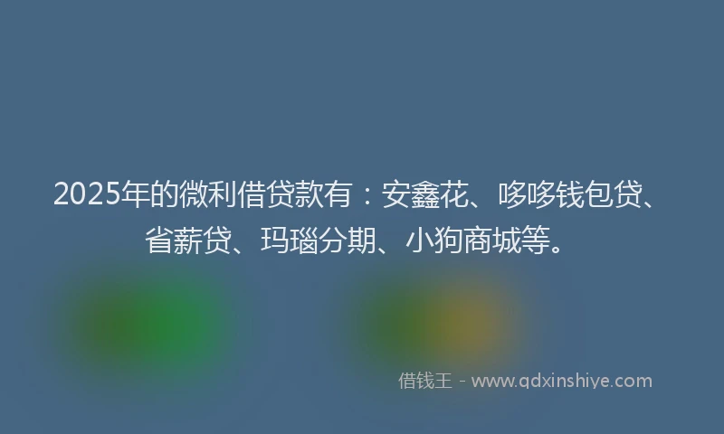 2025年的微利借贷款有：安鑫花、哆哆钱包贷、省薪贷、玛瑙分期、小狗商城等。