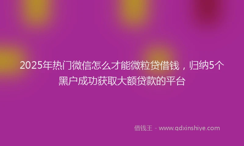 2025年热门微信怎么才能微粒贷借钱，归纳5个黑户成功获取大额贷款的平台
